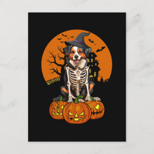 Australian shepherd Hund Halloween Helg Vykort