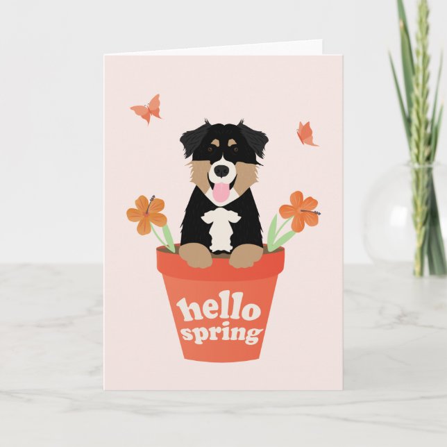 Australian shepherd Hund i blomkruka Kort (Framsida)
