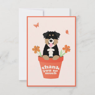 Australian shepherd Hund i blomkruka Tack Kort