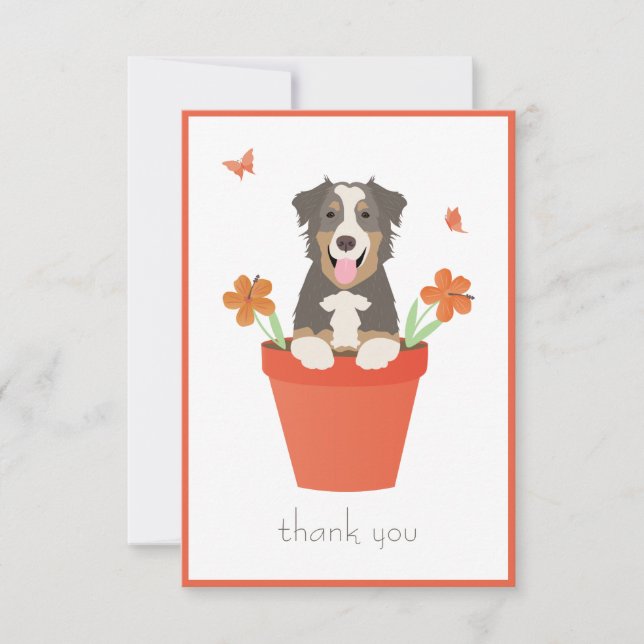 Australian Shepherd Hund I Blomkruka Tack Kort (Framsida)