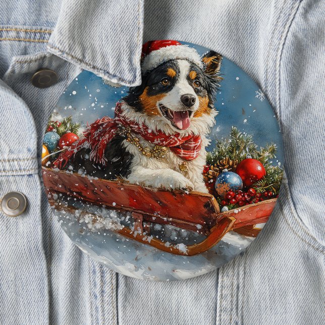 Australian shepherd Hund i Sledge Chriistmas Knapp (In Situ)