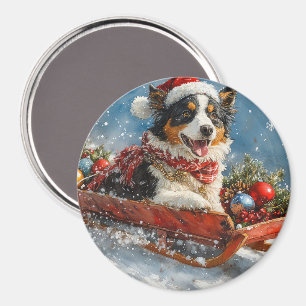 Australian shepherd Hund i Sledge Chriistmas Magnet