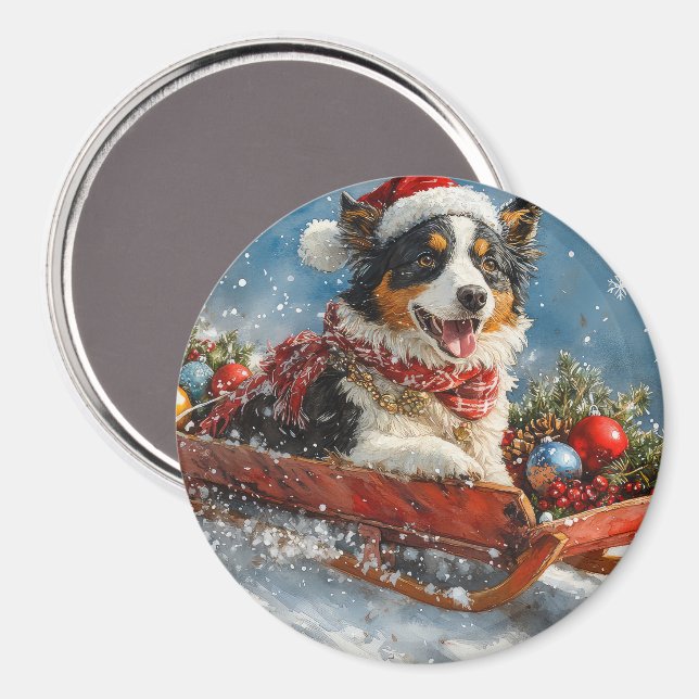 Australian shepherd Hund i Sledge Chriistmas Magnet (Front/Back)
