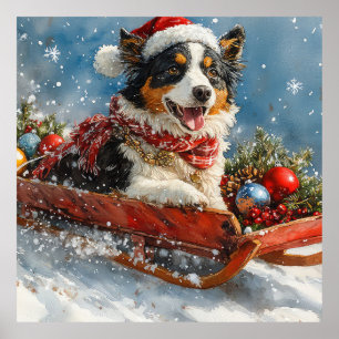 Australian shepherd Hund i Sledge Chriistmas Poster