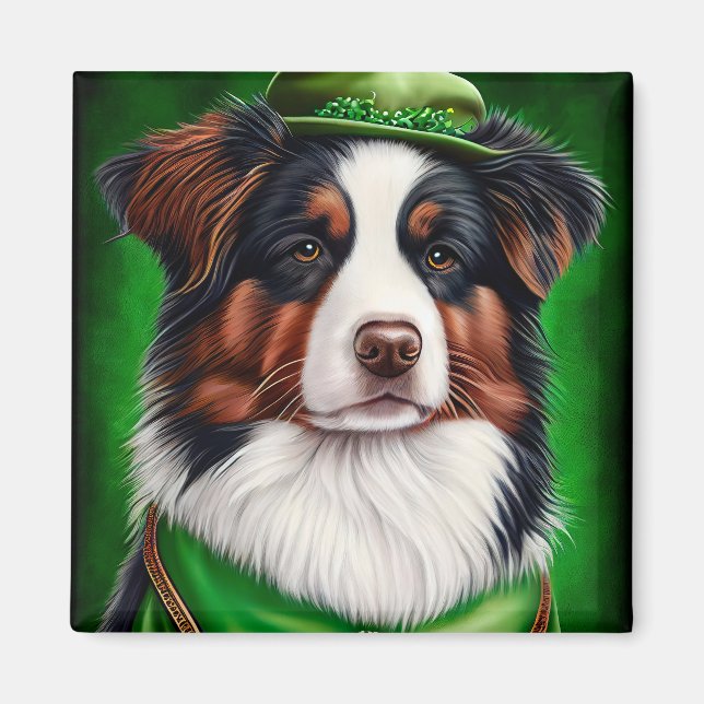 Australian shepherd hund i St. Patrick Dress Magnet (Framsidan)