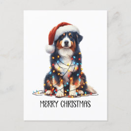 Australian shepherd Hund inslagna i julljus Helg Vykort