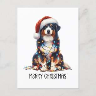 Australian shepherd Hund inslagna i julljus Helg Vykort