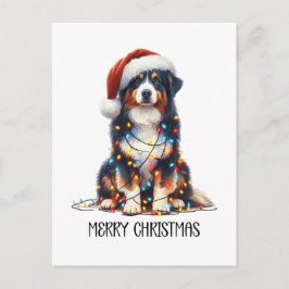 Australian shepherd Hund inslagna i julljus Helg Vykort