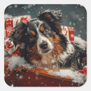 Australian Shepherd Hund Jul Festlig Fyrkantigt Klistermärke
