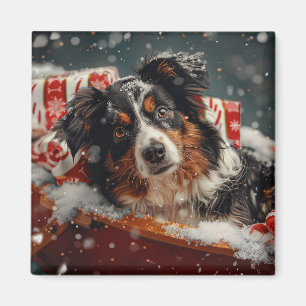 Australian Shepherd Hund Jul Festlig Magnet