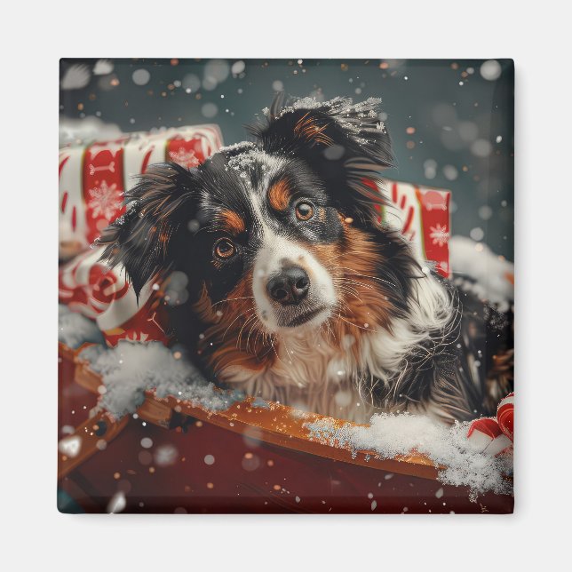 Australian Shepherd Hund Jul Festlig Magnet (Framsidan)