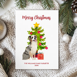 Australian shepherd Hund jul Julkort