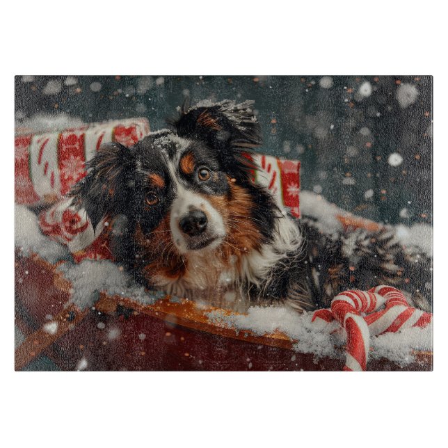 Australian shepherd Hund julafton (Framsidan)