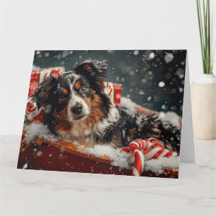 Australian shepherd Hund julafton Kort