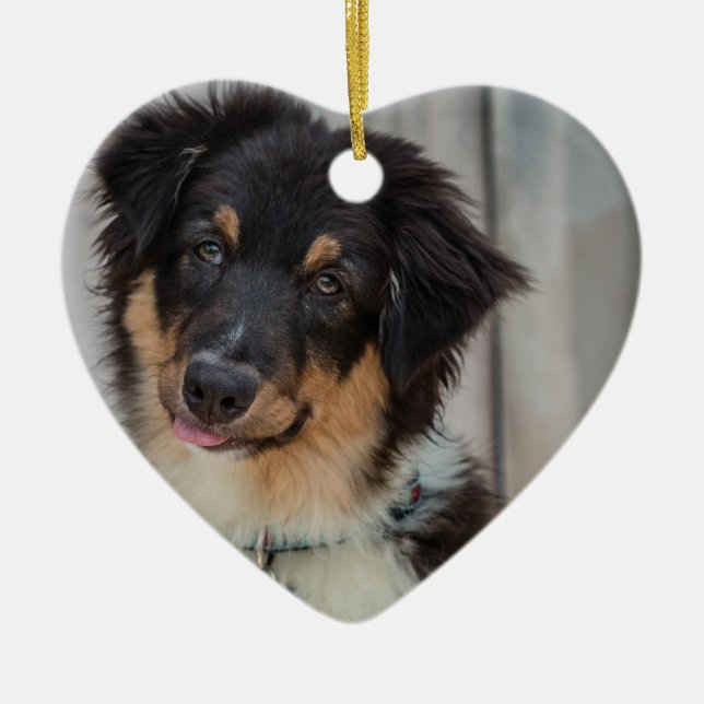 Australian shepherd Hund Julgransprydnad Keramik (Framsidan)