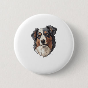 Australian shepherd Hund Knapp