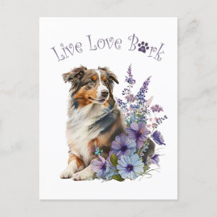Australian shepherd Hund Mamma Blommigt Vykort