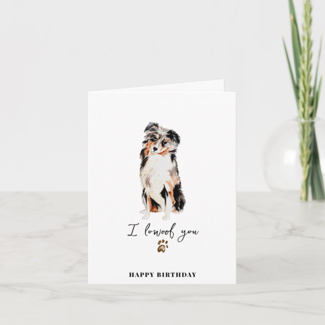Australian Shepherd Hund Mamma Valp Husdjur Tass F Kort (Framsida)