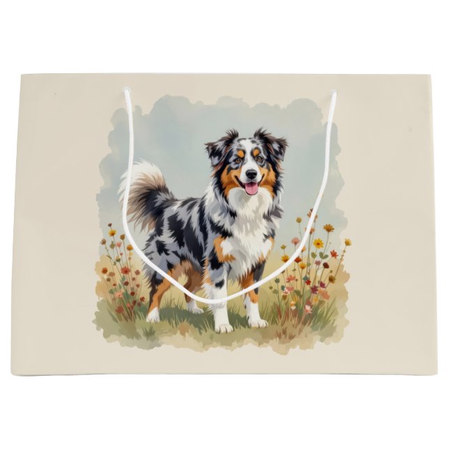 Australian Shepherd Hund Merle Lång Svans (Framsidan)