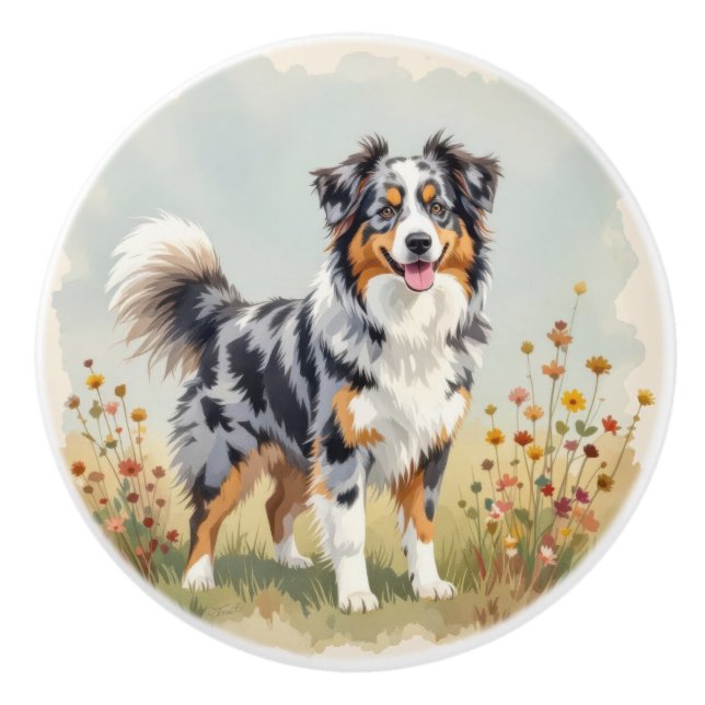 Australian Shepherd Hund Merle Lång Svans Knopp (Framsidan)