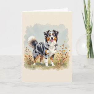 Australian shepherd Hund Merle Long Svan Kort