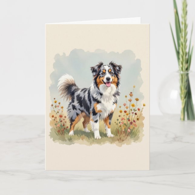 Australian shepherd Hund Merle Long Svan Kort (Framsida)