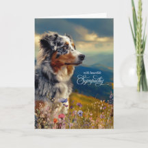 Australian shepherd Hund Mountain Pet Sympathy