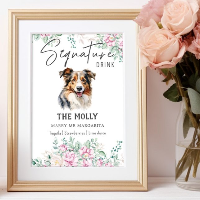 Australian shepherd Hund Namnteckning Drycktecken Poster (Skapare uppladdad)