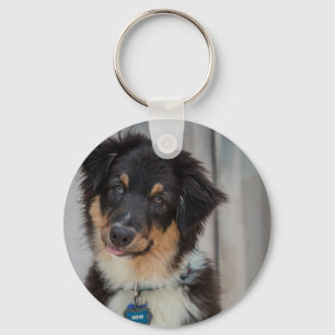 Australian shepherd Hund Nyckelring