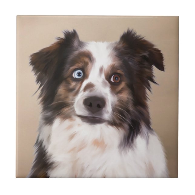 Australian shepherd Hund Oljemålning Art Kakelplatta (Framsidan)