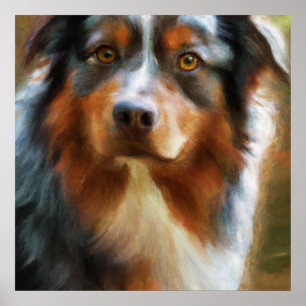 AUSTRALIAN SHEPHERD - HUND PORTRÄTT POSTER