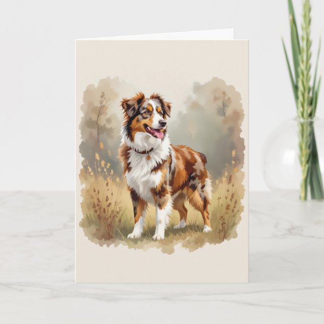 Australian shepherd Hund Red Merle Aussie Kort (Framsida)
