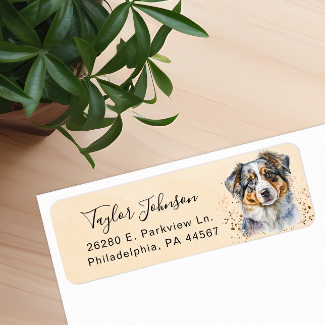 Australian Shepherd Hund Returadress Etikett (Skapare uppladdad)