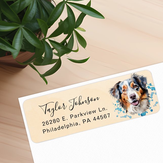 Australian Shepherd Hund Returadress Etikett (Skapare uppladdad)