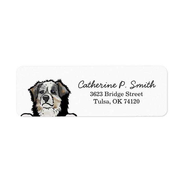 Australian shepherd Hund Returadress Returadress Etikett (Framsidan)