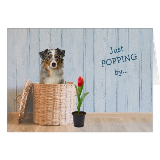 Australian shepherd Hund Wicker Basket födelsedag Hälsningskort (Framsidan Horizontal)