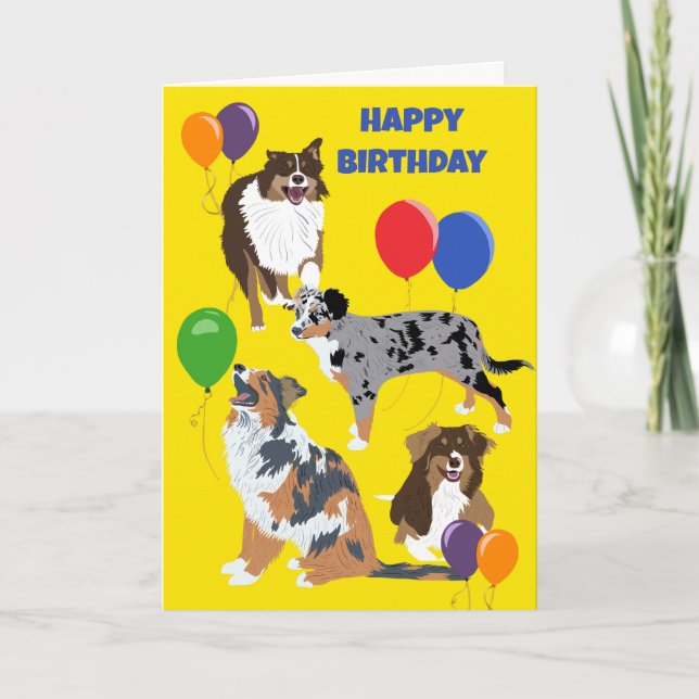 Australian shepherd Hundar och baronernas födelsed Kort (Framsida)