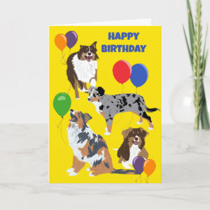 Australian shepherd Hundar och baronernas födelsed Kort