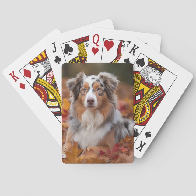 Australian shepherd i Höst löv Fall Inspire Casinokort (Baksidan)