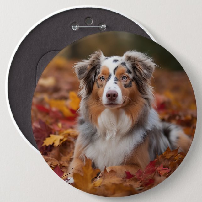 Australian shepherd i Höst löv Fall Inspire Knapp (Framsida & baksida)