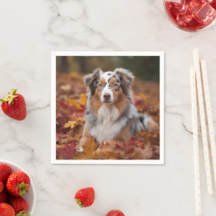 Australian shepherd i Höst löv Fall Inspire Pappersservett