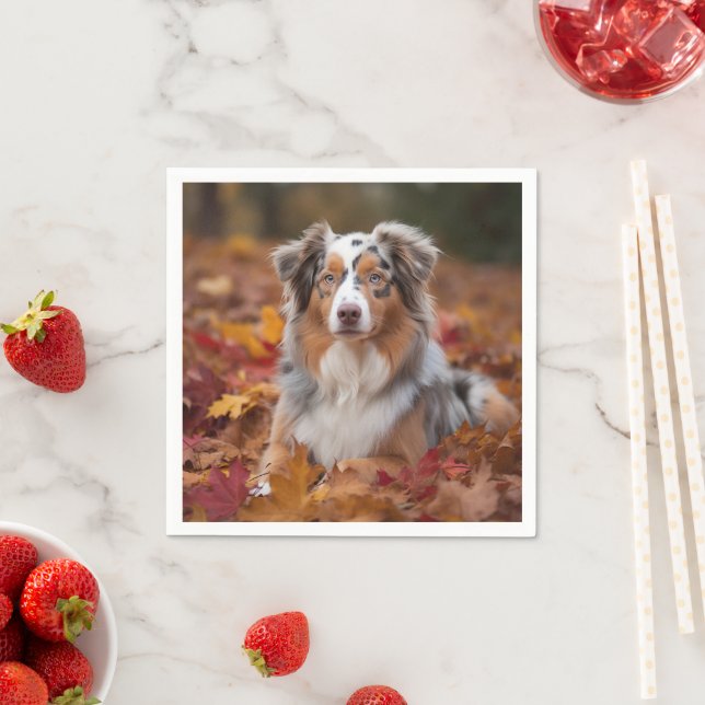 Australian shepherd i Höst löv Fall Inspire Pappersservett (Insitu)