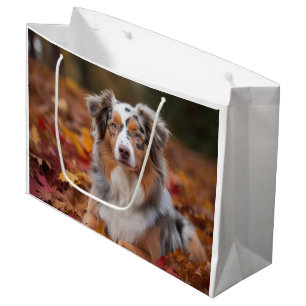 Australian Shepherd i höstlöv Fall Inspire