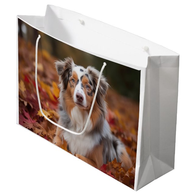 Australian Shepherd i höstlöv Fall Inspire (Framsidan Vinklad)
