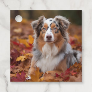 Australian Shepherd i höstlöv Fall Inspire Gåvor Etiketter