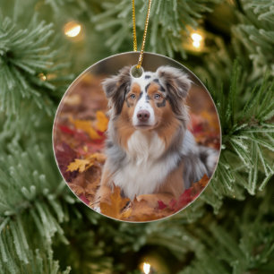 Australian Shepherd i höstlöv Fall Inspire Julgransprydnad Keramik