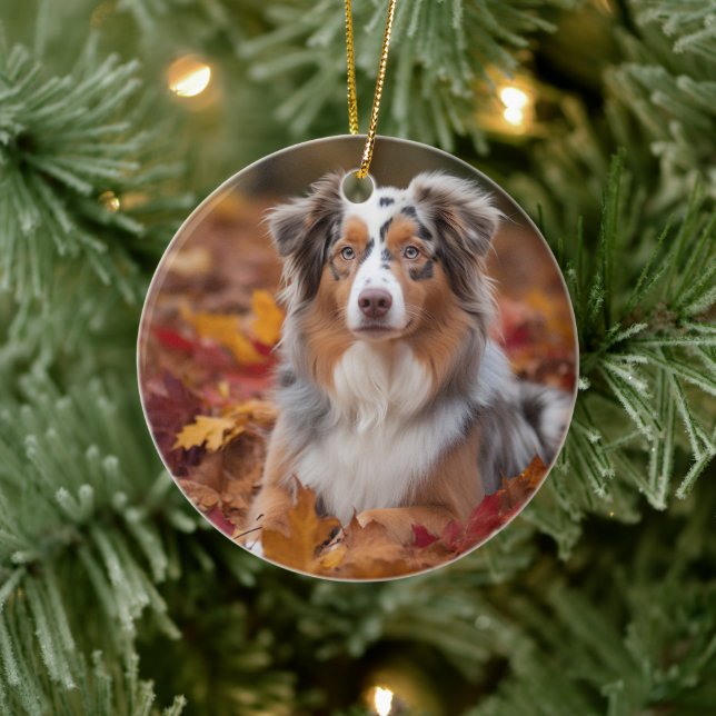Australian Shepherd i höstlöv Fall Inspire Julgransprydnad Keramik (Träd)