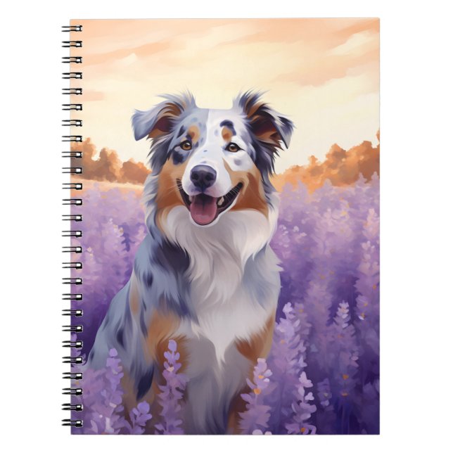 Australian shepherd i Lavender fält Anteckningsbok (Framsidan)
