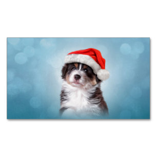 Australian shepherd i röd hatt av Santa Magnetiska Visitkort