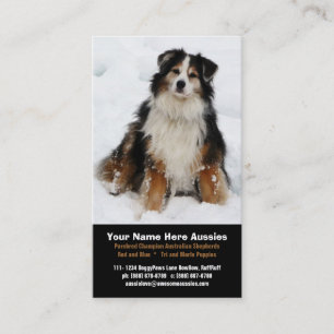 Australian shepherd i snöavelsdjurvisitkortar visitkort